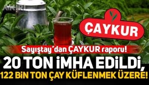 Sayıştay'dan Çaykur raporu: 20 ton çay imha edildi, 122 bin ton çay küflenmek üzere!
