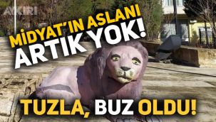 Sosyal medyanın gündemindeki Midyat Cumhuriyet meydanındaki aslan parçalanarak kaldırıldı