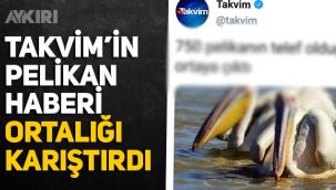 Takvim'in pelikan haberi ortalığı karıştırdı: 
