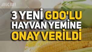 Tarım ve Orman Bakanlığı’ndan 3 yeni GDO'lu hayvan yemine onay