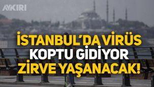 Bilim Kurulu üyesi: 