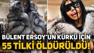 Bülent Ersoy'un 450 bin liralık kürkü için 55 tilki öldürüldü!