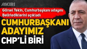 CHP'nin Cumhurbaşkanı adayı kim olacak? Gürsel Tekin Cumhurbaşkanı adaylarının belirlediklerini açıkladı