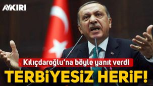 Erdoğan'dan Kılıçdaroğlu'na Gara cevabı: Terbiyesiz herif!