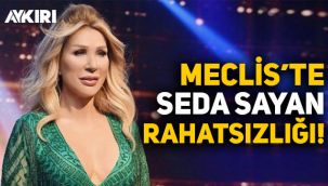 Seda Sayan, Meclis gündeminde!