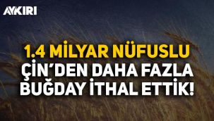 Türkiye, 1.4 milyar nüfuslu Çin'den daha fazla buğday ithal etti!