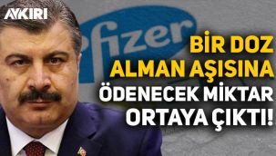 Türkiye'nin bir doz Pfizer/BioNTech aşısına ödeyeceği miktar belli oldu