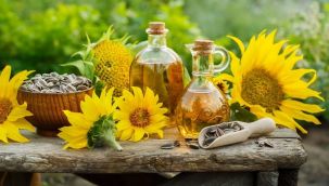 TMO tarihinde ilk kez ham ayçiçek yağı ithal edecek