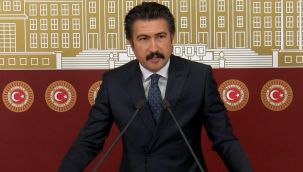 AK Parti Grup Başkan Vekili Özkan:
