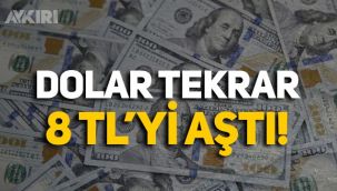 Dolar 8 lirayı aştı!