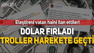 Dolar fırladı, troller harekete geçti, eleştireni vatan haini ilan ettiler