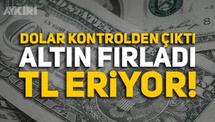Dolar kurunda şok artış! TL dolar karşısında eriyor! Altın da büyük artış, altının gramı 460 TL'ye çıktı