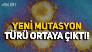 Fransa'da yeni koronavirüs mutasyonu tespit edildi