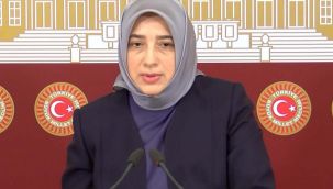 İktidarın barosundan Özlem Zengin'e: 