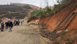 Ordu'da maden sahası için kesilen ağaçlara tepki: 