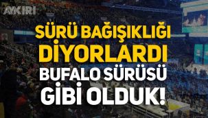 Özdil: Sürü bağışıklığı diyorlardı, bufalo sürüsü gibi olduk!