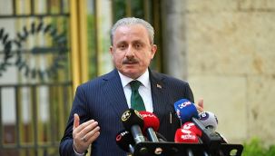 Şentop'dan 'Gergerlioğlu'nun Meclis'te gözaltına alınması hakkında açıklama