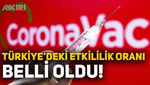 Sinovac aşısının Türkiye'deki etkililik rakamları belli oldu