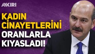 Süleyman Soylu, Türkiye'deki kadın cinayetlerini Dünya ve Avrupa oranlarıyla kıyasladı