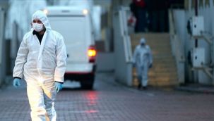 Türkiye'de son 24 saatte 65 can kaybı, 11 bin 520 yeni vaka tespit edildi