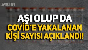 Aşı olup da koronavirüse yakalanan kişi sayısı açıklandı