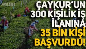 ÇAYKUR'un 300 kişilik mevsimlik işçi ilanına 35 bin 412 kişi başvuru yaptı!
