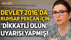 Devlet, Ruhsar Pekcan için 