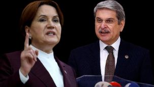 İYİ Partili Aytun Çıray: Akşener ile görüşüp parti kurmasını önerdim