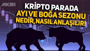 Kripto parada ayı ve boğa sezonu nedir? Sezonların geldiği nasıl anlaşılır?