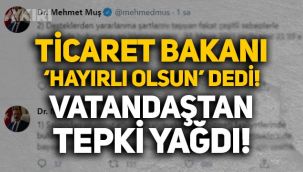 Mehmet Muş