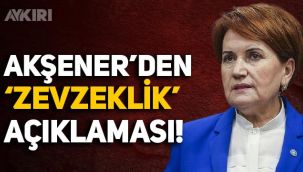 Meral Akşener'den bildiri açıklaması: Emekli amirallerin darbe yapacak hali yok!
