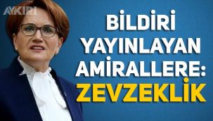 Meral Akşener'den bildiri yayınlayan emekli amirallere: Zevzeklik