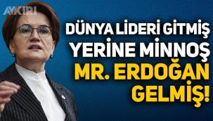 Meral Akşener: Rüzgar esse atarlanan dünya lideri gitmiş, yerine minnoş Mr. Erdoğan gelmiş