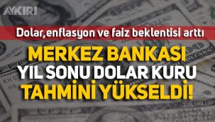 Merkez Bankası yıl sonu dolar kuru tahmini 8.57 TL oldu!
