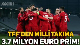 TFF, Milli Takım'daki oyunculara 3 milyon 750 bin euro prim ödedi!