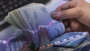 Uluslararası Finans Enstitüsü: 