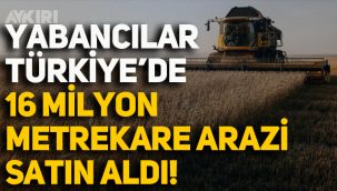 Yabancılar Türkiye'de 16 Milyon Metrekare Tarım Arazisi Satın Aldı!