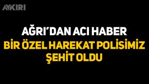 Ağrı'dan acı haber: Bir özel harekat polisimiz şehit oldu