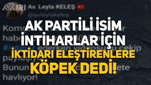AK Partili Meclis Üyesi, intiharlardan dolayı iktidarı eleştirenlere 'köpek' dedi!