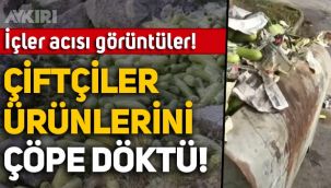 Antalya'da içler acısı görüntüler: Çiftçiler, ürünleri çöp arabası ve konteynırlarına döktü!