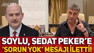 Barış Terkoğlu: Süleyman Soylu, Sedat Peker'e