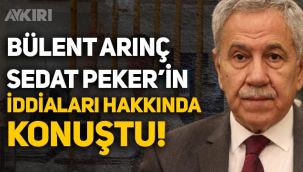 Bülent Arınç'tan Sedat Peker açıklaması: İddialar araştırılmalı!