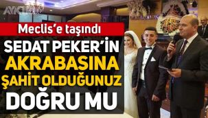 CHP'li vekil Süleyman Soylu'ya sordu: Sedat Peker'in akrabasına nikah şahidi olduğunuz doğru mu?