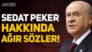 Devlet Bahçeli'den Sedat Peker'e çok ağır sözler!