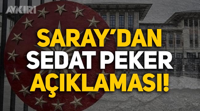 Erdoğan'ın Başdanışmanından Sedat Peker'in iddiaları hakkında açıklama