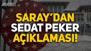Erdoğan'ın Başdanışmanından Sedat Peker'in iddiaları hakkında açıklama