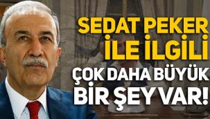 Eski Emniyet Müdürü Hanefi Avcı: Sedat Peker'le ilgili çok daha büyük bir şey var!