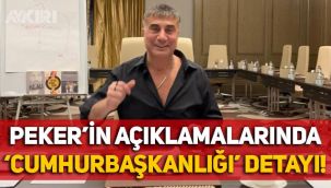 Eski İçişleri Bakanı Sadettin Tantan açıkladı: Sedat Peker'in videolarında 'Cumhurbaşkanlığı' detayı!