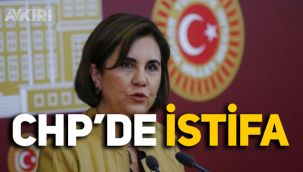Gaye Usluer, CHP'den istifa etti