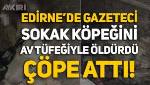 Gazeteci, sokak köpeğini av tüfeğiyle vurarak katletti, çöpe konteynerine attı!